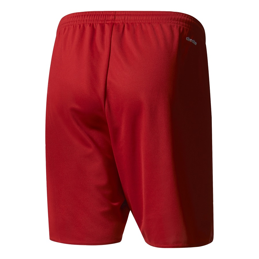 Adidas climalite shorts